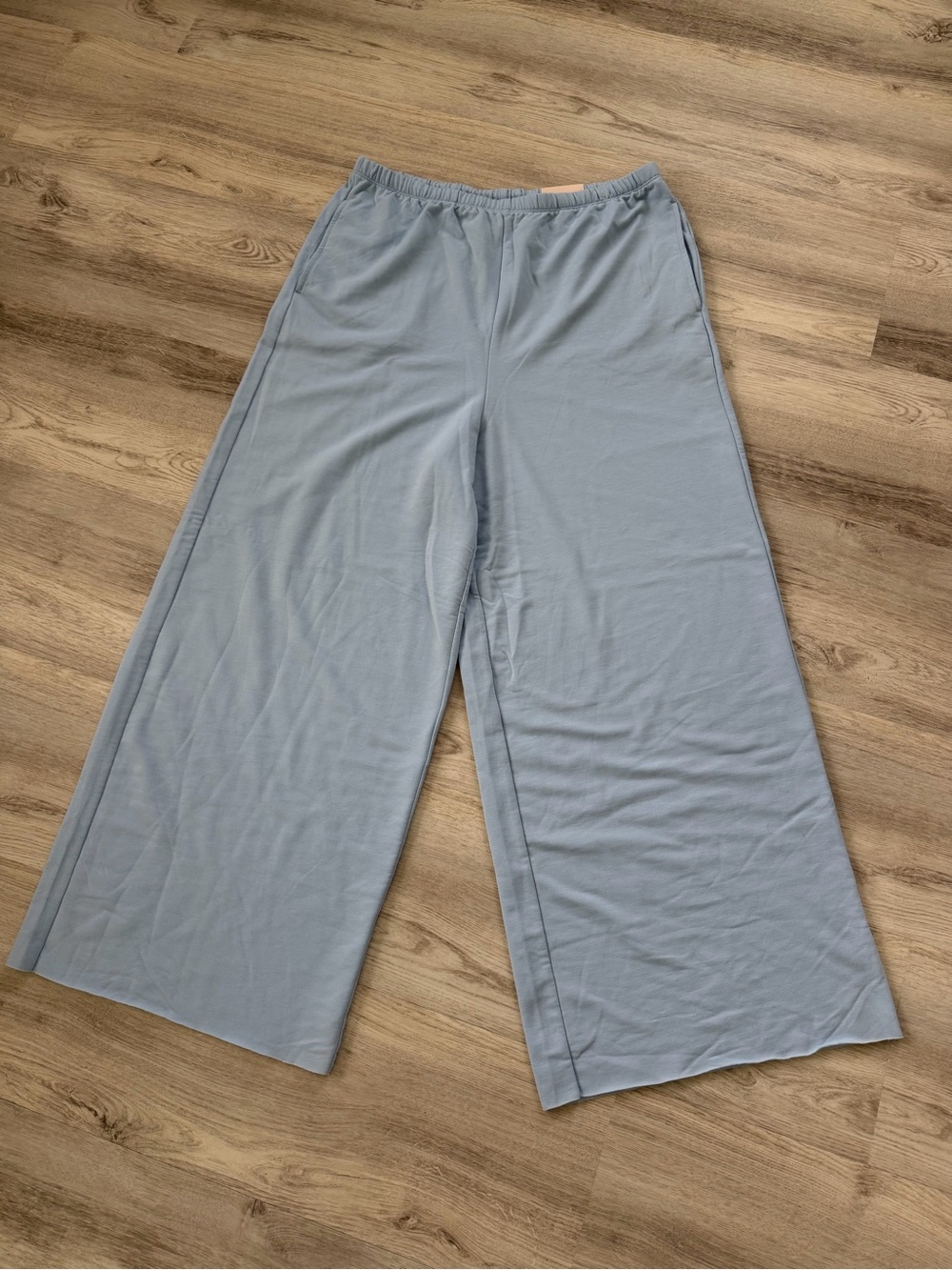 SO Wide Leg Lounge Pants in Light Blue
